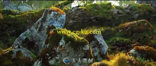 Quixel MegaScan Suite高精度纹理材质贴图扫描软件V0.914版 MEGASCAN STUDIO 0.914...的图片1