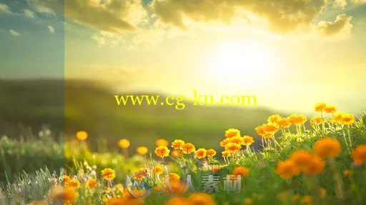 45款金色阳光下照片调色lightroom预设45 Golden Sunset Presets的图片2