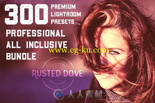 300款专业照片调色lightroom预设300 Professional Lightroom Presets的图片1