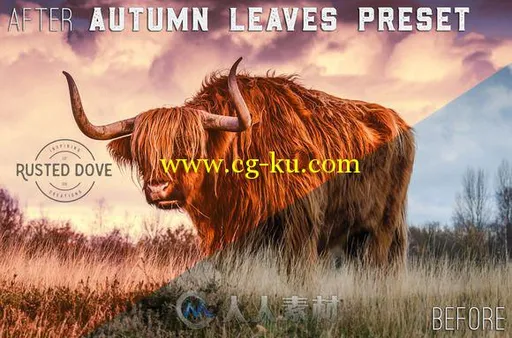 300款专业照片调色lightroom预设300 Professional Lightroom Presets的图片2