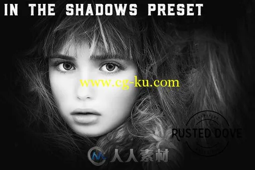 300款专业照片调色lightroom预设300 Professional Lightroom Presets的图片3