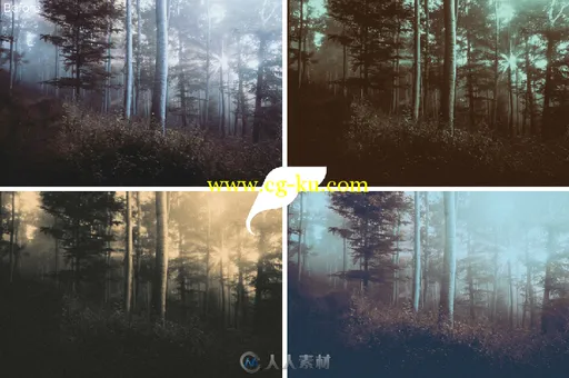 黑暗表现照片调色lightroom预设第三版Lightroom Presets - Dark Presets III的图片3