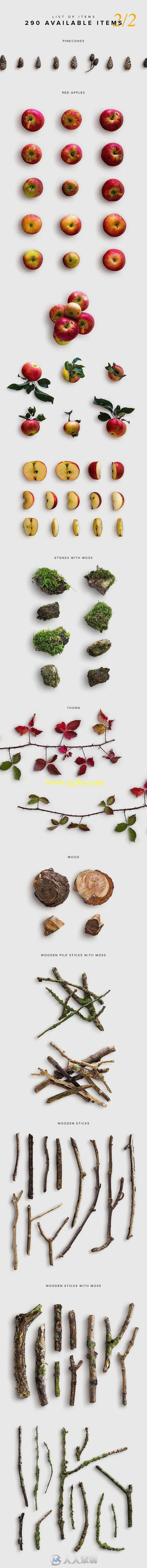 秋日树叶花草枝木高清展示PSD模板Autumn Edition - Custom Scene的图片9