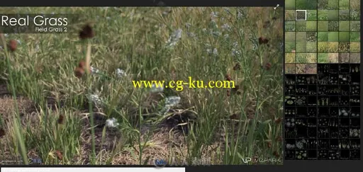 140组高逼真草与花卉3D模型库 VIZPARK REAL GRASS FOR CINEMA4D MODO OBJ FBX LIGH...的图片3