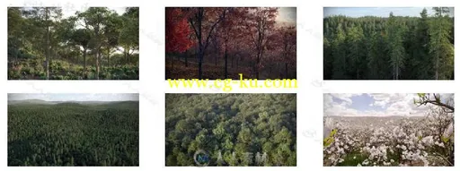 15组高逼树木植物3D模型库 VIZPARK REAL TREES的图片10