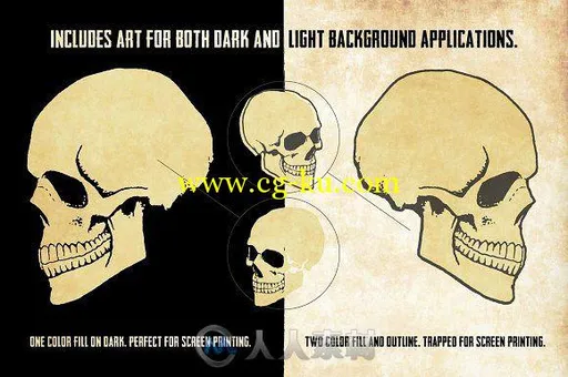 63款头骨手绘展示AI模板63 Hand-Drawn Skulls + Bonus Skulls的图片3