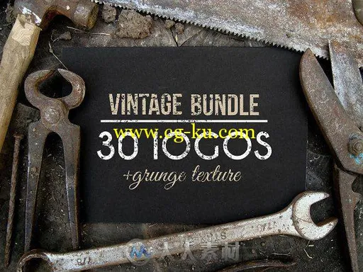 30款复古LOGO展示AI模板30 Vintage Logos + BONUS的图片1