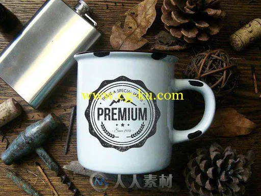 30款复古LOGO展示AI模板30 Vintage Logos + BONUS的图片2