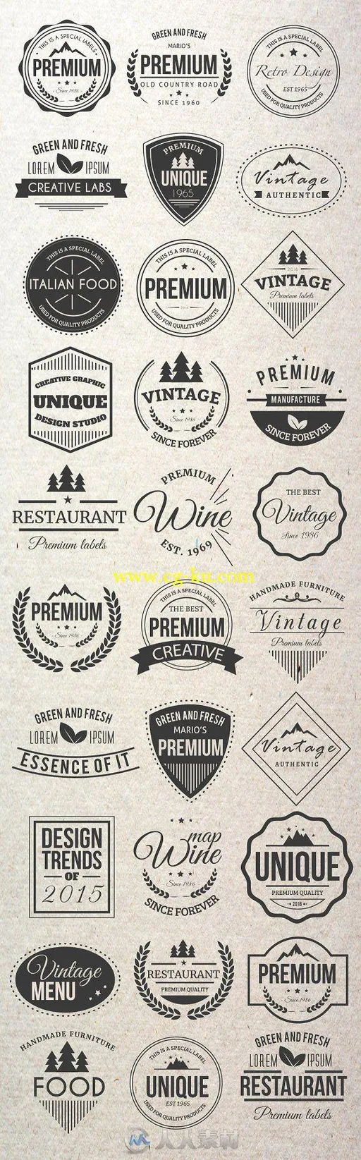 30款复古LOGO展示AI模板30 Vintage Logos + BONUS的图片3