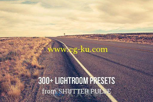 300款专业lightroom预设合辑的图片2