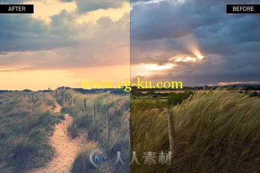 300款专业lightroom预设合辑的图片3