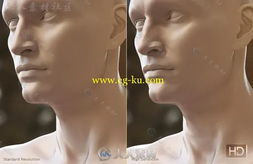 完整高清详细的男性身体3D模型合辑的图片3