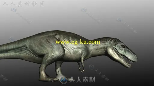 暴龙恐龙爬行动物动物角色3D模型Unity素材资源的图片2