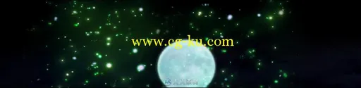 绚丽鹤舞视频素材的图片1