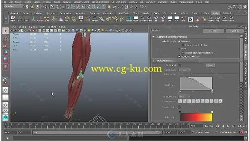 Maya肌肉与骨骼大师级训练视频教程 CGCIRCUIT SKINING WITH NCLOTH PART I的图片5