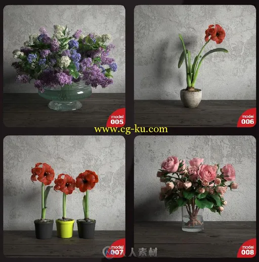 25组高精度花卉植物陈设3D模型合辑 EVERMOTION ARCHMODELS VOL.173的图片8