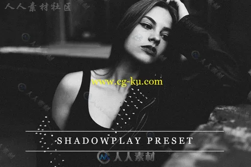 柔和阴暗的皮影戏效果Lightroom预设的图片1