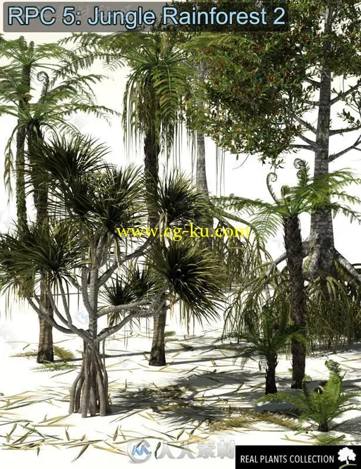 超精细大自然丛林雨林树木3D模型合辑的图片1