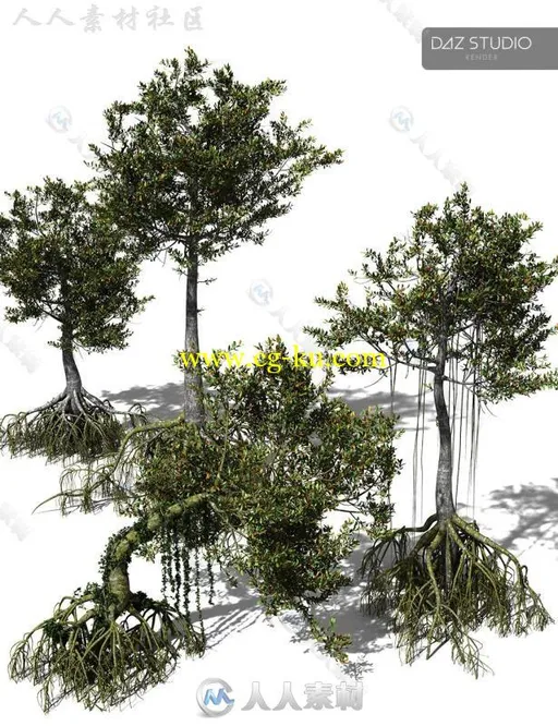 超精细大自然丛林雨林树木3D模型合辑的图片3