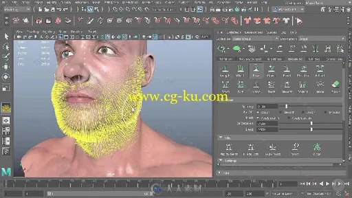 Maya毛发制作工具集核心技术训练视频教程 PLURALSIGHT MAYA DYNAMICS NHAIR XGEN A的图片10
