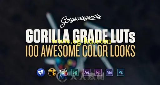 灰猩猩出品100种 LUTs 电影调色预设合辑 GREYSCALEGORILLA GRADE LUTS的图片1