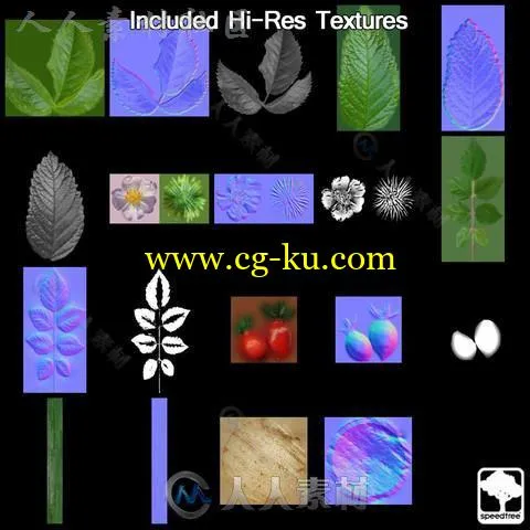 狗蔷薇SpeedTree®植物3D模型Unity游戏素材资源的图片2