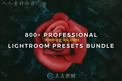 800多种时尚完美专业的Lightroom预设的图片1