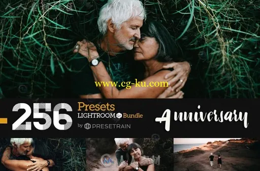 256款时尚新颖的Lightroom预设的图片11