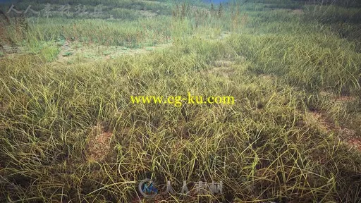 真实的草坪森林牧场3D模型Unity游戏素材资源的图片1