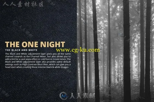 130款时尚Lightroom预设的图片6