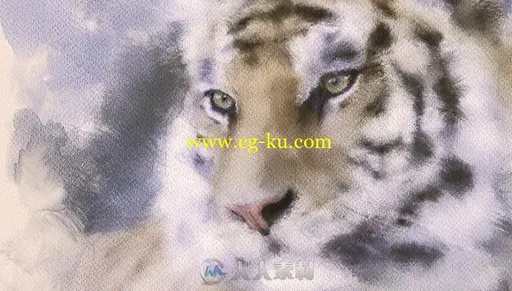 REBELLE水彩水墨模拟数字绘画软件V2.0.1版 Rebelle 2.01 Win的图片12