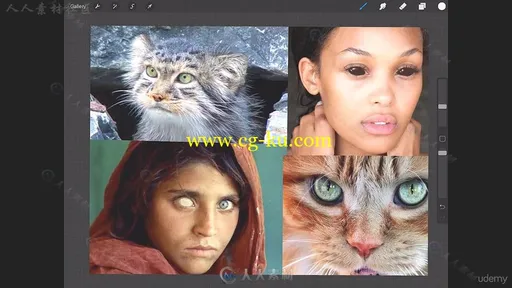 眼睛实例数字绘画艺术训练视频教程 Udemy Digitally Painting and Drawing Eyes的图片7
