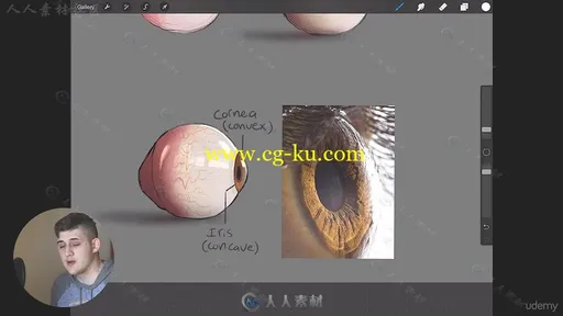 眼睛实例数字绘画艺术训练视频教程 Udemy Digitally Painting and Drawing Eyes的图片8