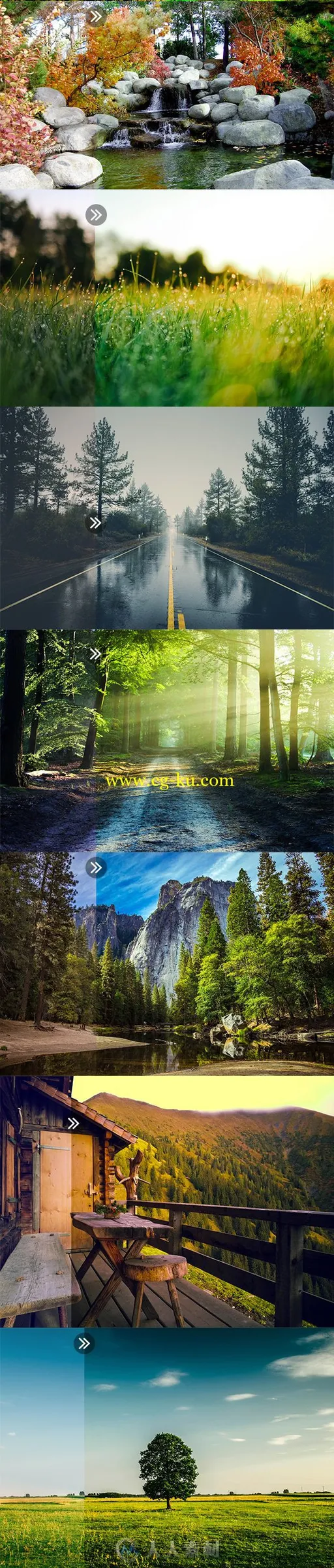 22款专业的清新绿色Lightroom预设的图片2