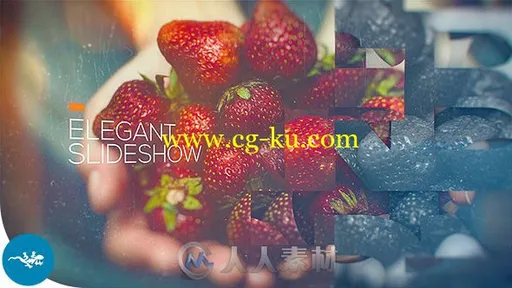 时尚优雅图形组合照片展示幻灯片相册动画AE模板Videohive Elegant Slideshow 1968的图片1