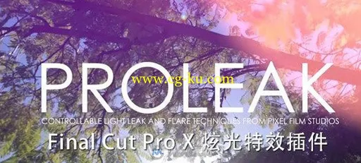 炫光特效插件：PROLEAK for FCPX的图片1