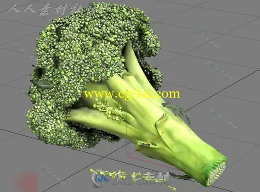 影视级别 3D西兰花模型的图片1