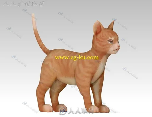 生活中可爱萌宠小猫咪3D模型的图片1