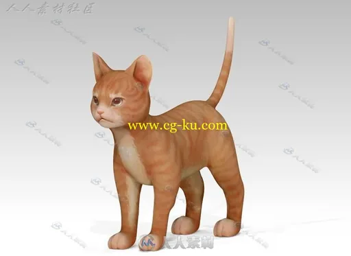 生活中可爱萌宠小猫咪3D模型的图片2