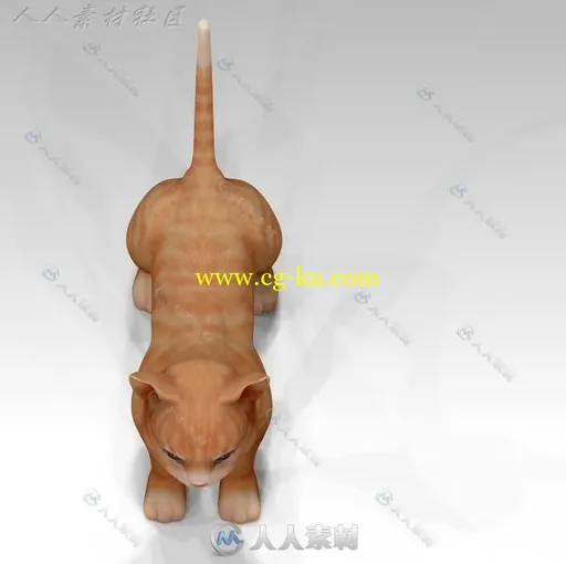 生活中可爱萌宠小猫咪3D模型的图片3