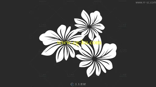30种时尚花纹生长动画视频素材的图片1
