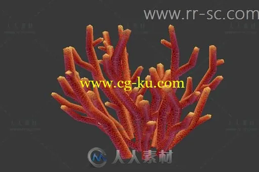 火红的珊瑚3D模型的图片1