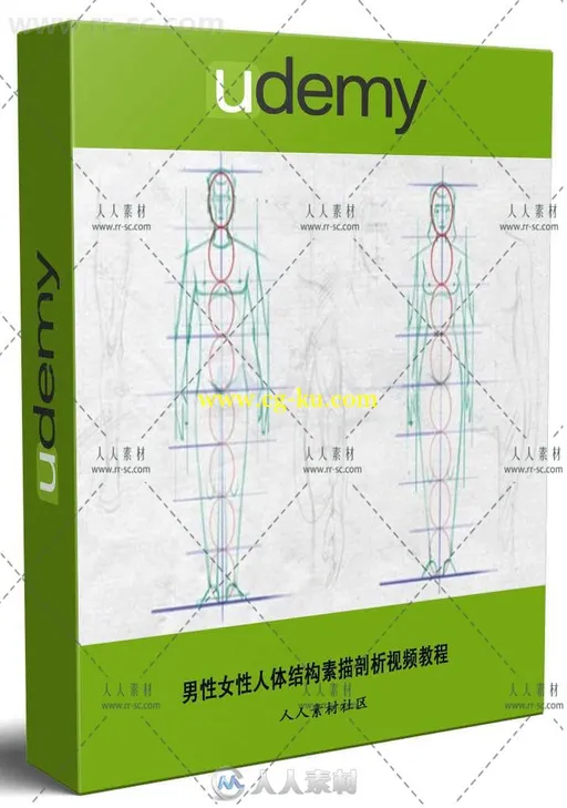 男性女性人体结构素描剖析视频教程 UDEMY EASY STEPS TO FIGURE DRAWING ANATOMY O的图片1