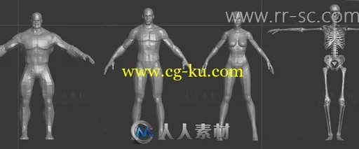 各种精品裸模合集人物+动物+怪物3D模型的图片5