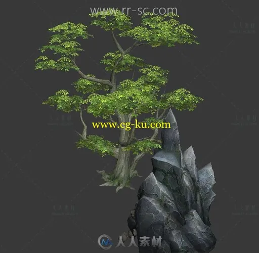 写实风格的树和岩石3D模型的图片1