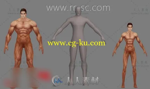 各种标准体型的裸模人物角色3D模型的图片3