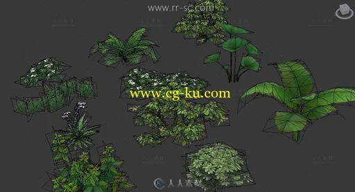 游戏中的植物3D模型集合的图片2