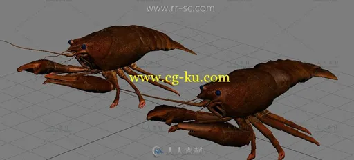 写实小龙虾3D模型的图片1