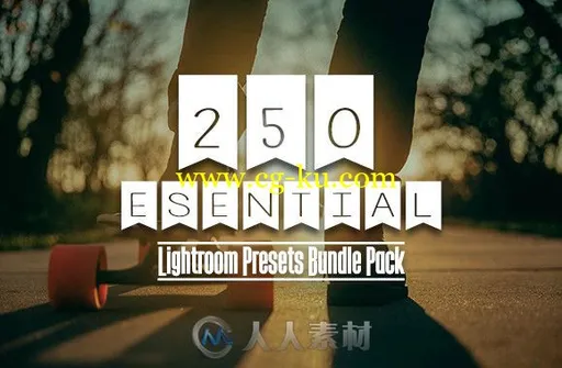 250款基本时尚Lightroom预设的图片1