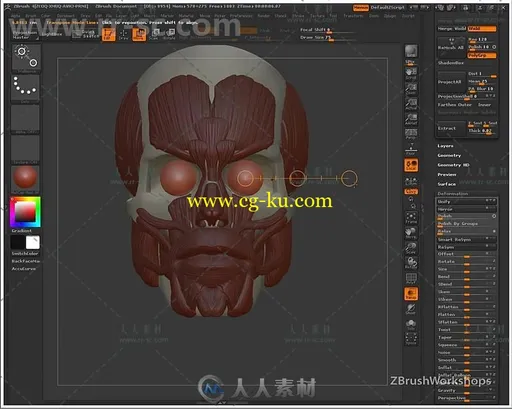 Zbrush人体面部解剖结构大师级训练视频教程 UARTSY ANATOMY OF THE FACE的图片3